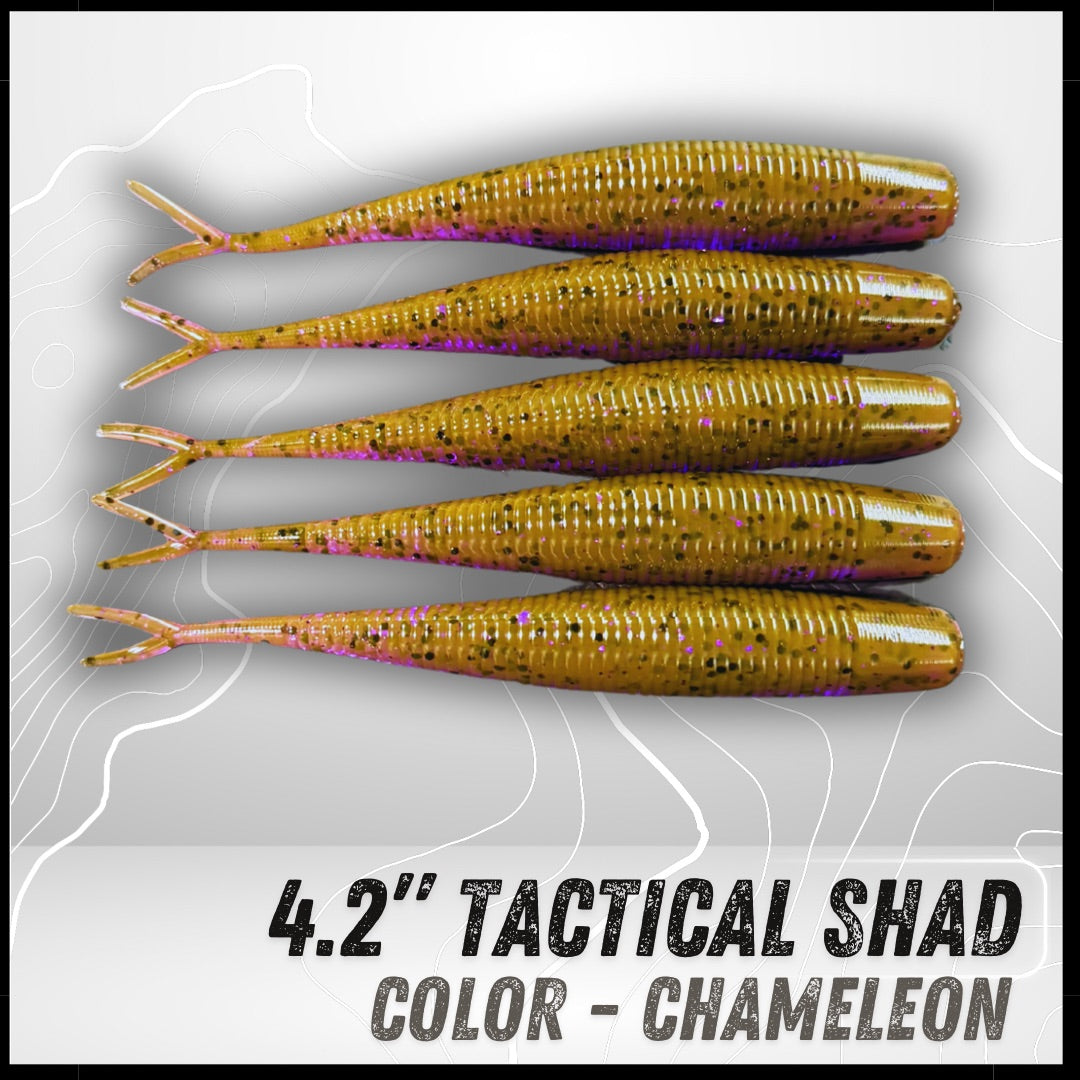 6PK 4.20” Epic Tactical Shad