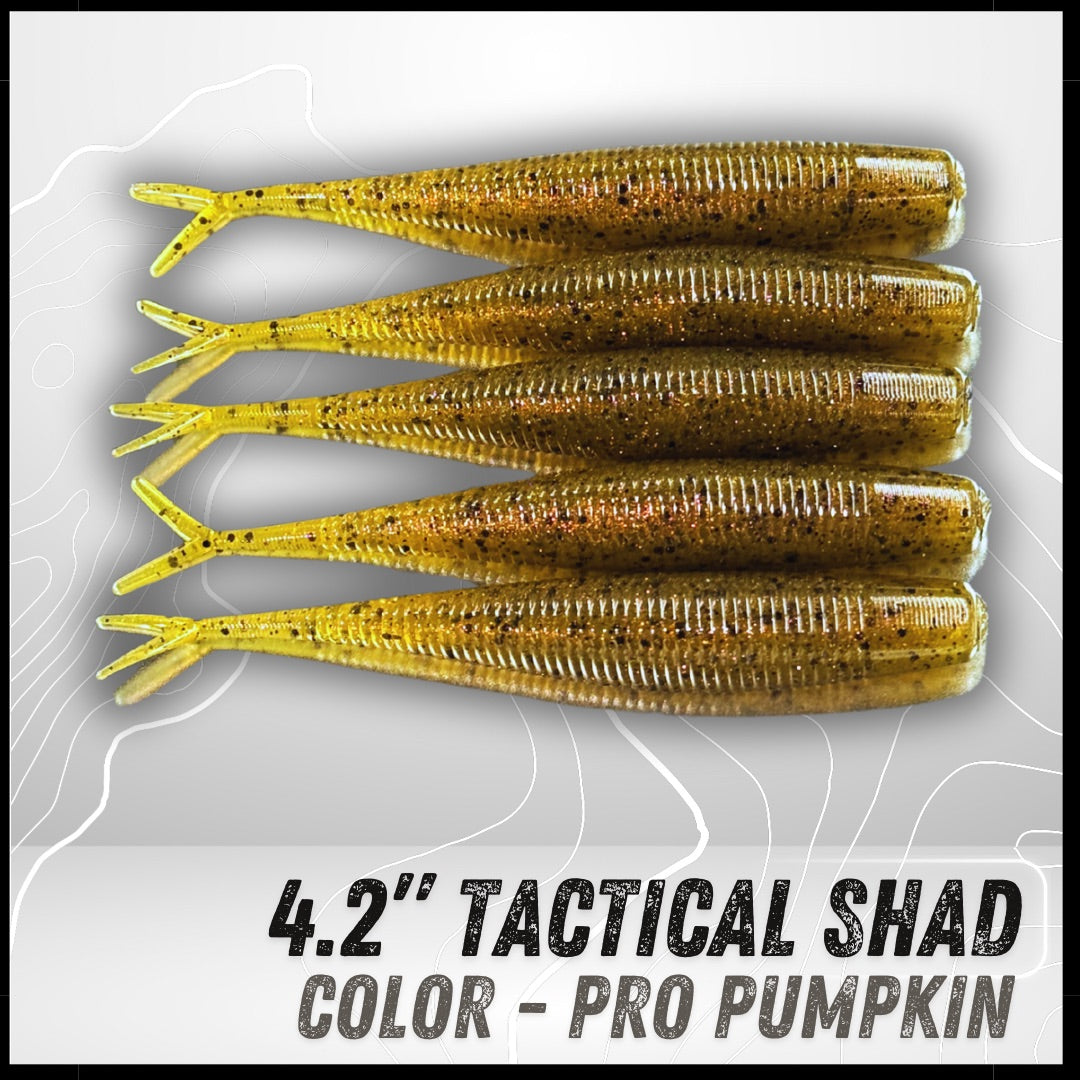 6PK 4.20” Epic Tactical Shad