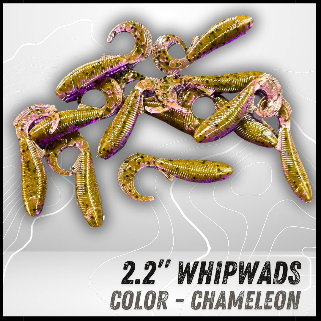 12PK 2.2" Epic Whipwads