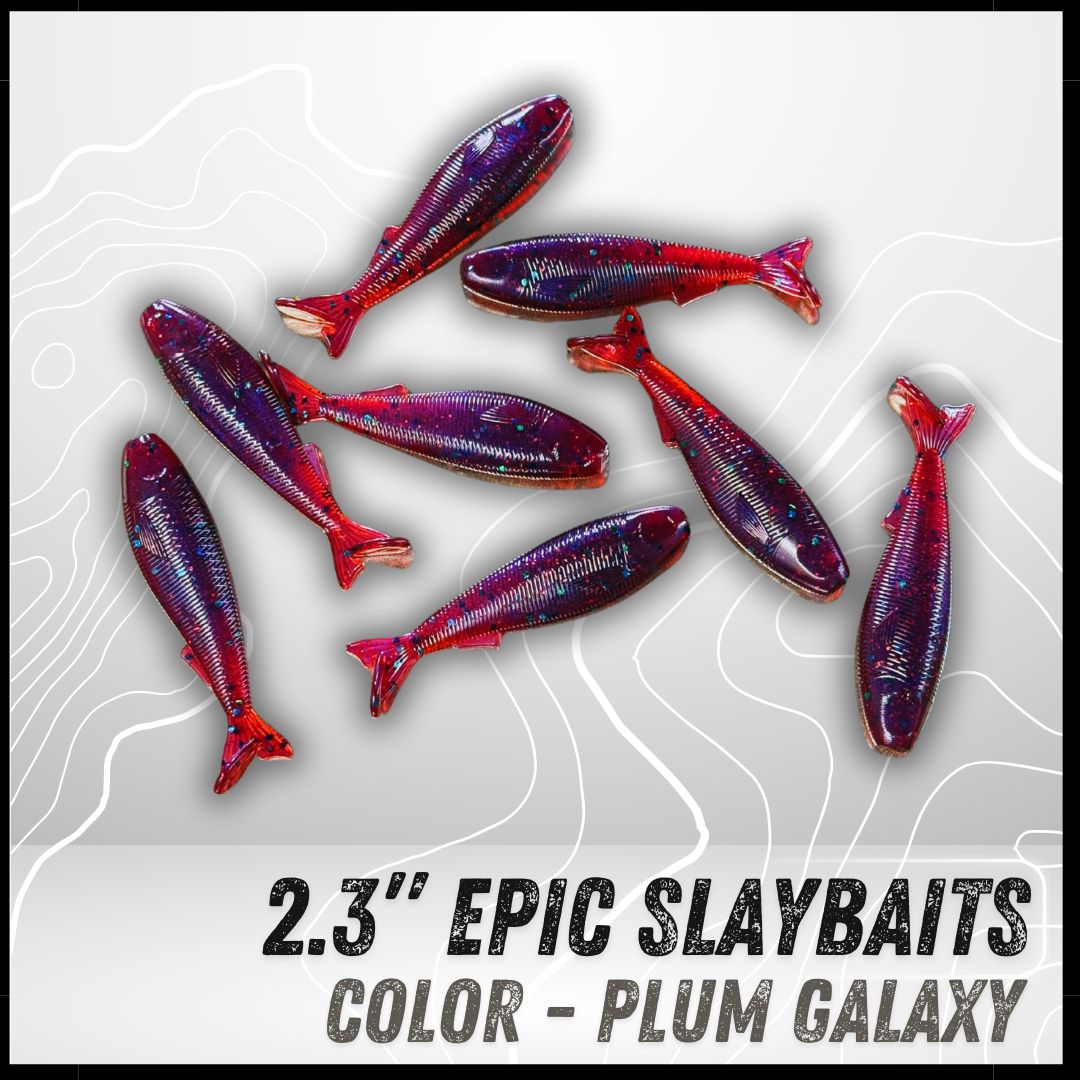 8PK 2.3" Epic SlayBaits