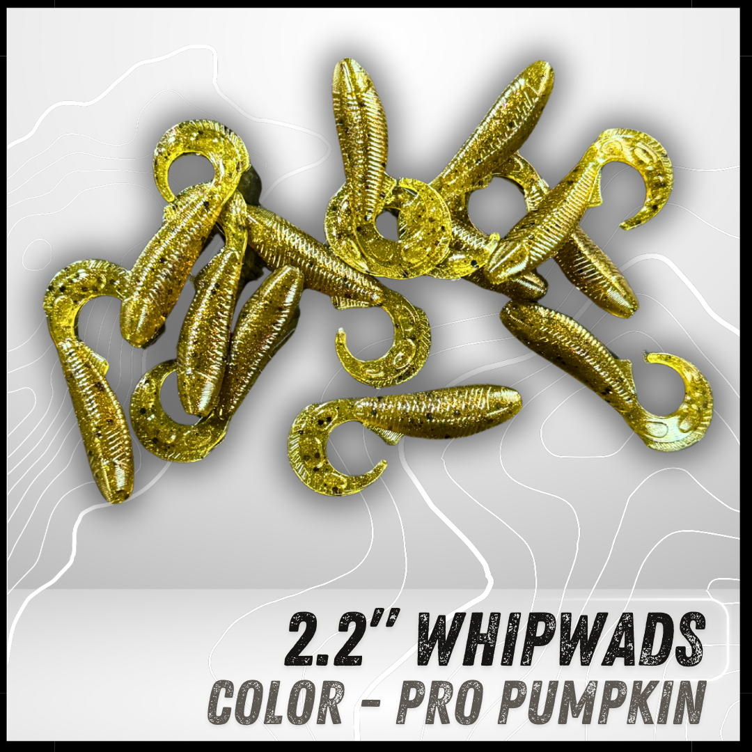 12PK 2.2" Epic Whipwads