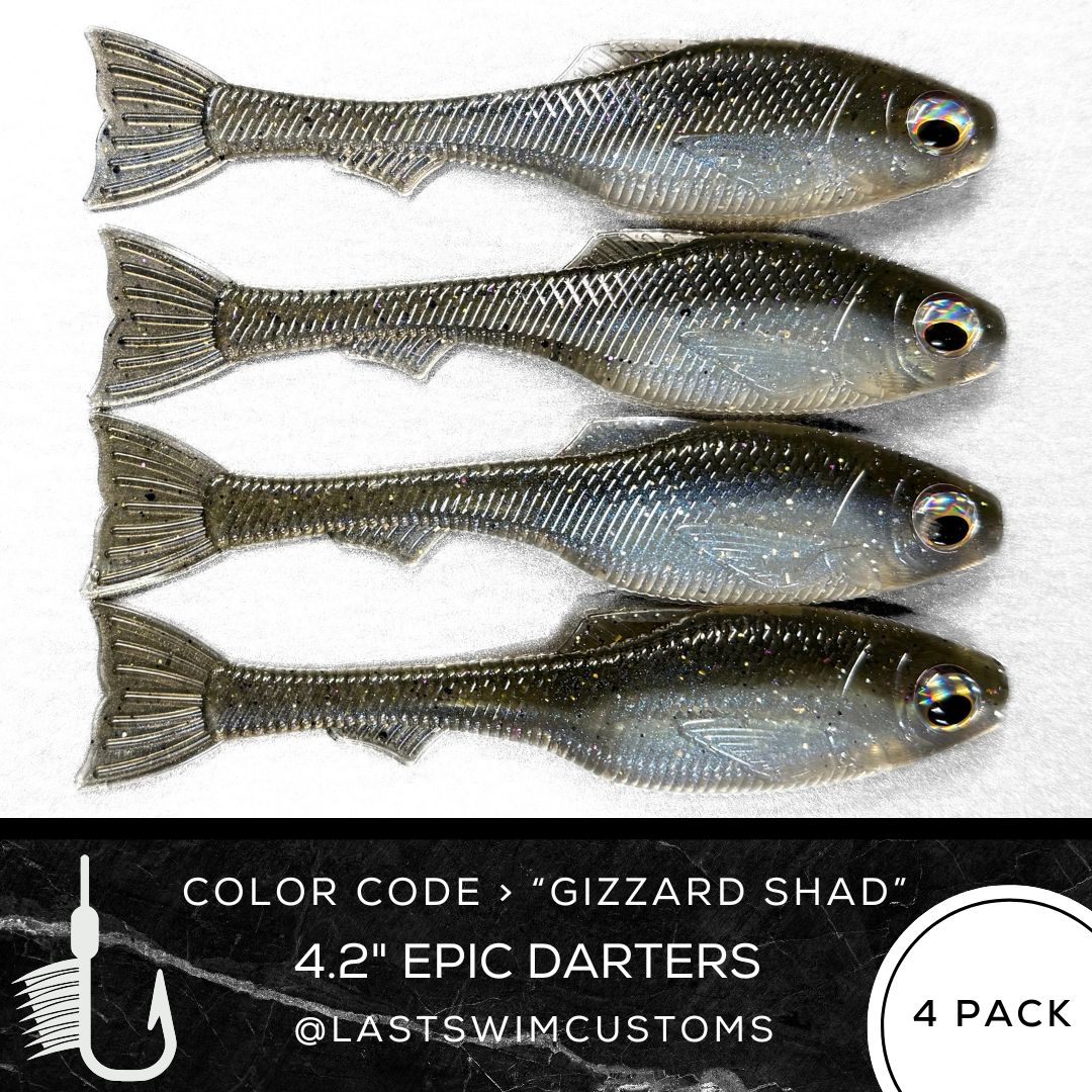 2 Color Baits