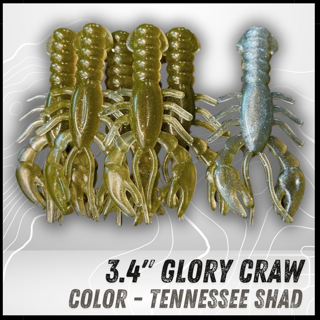 6PK 3.40" Epic Glory Craws