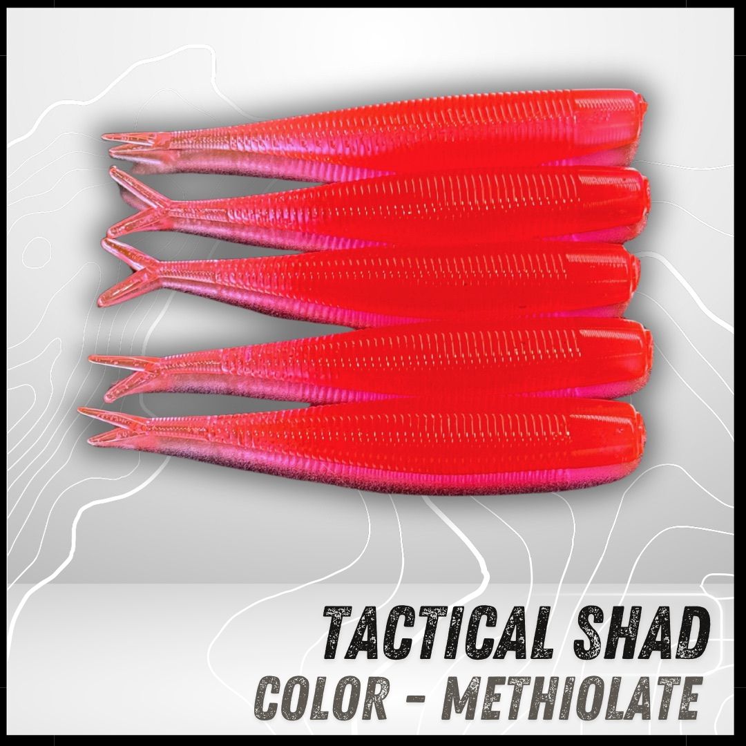 Epic Tactical Shad